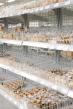 Metal Retail Shelving and Racking 2