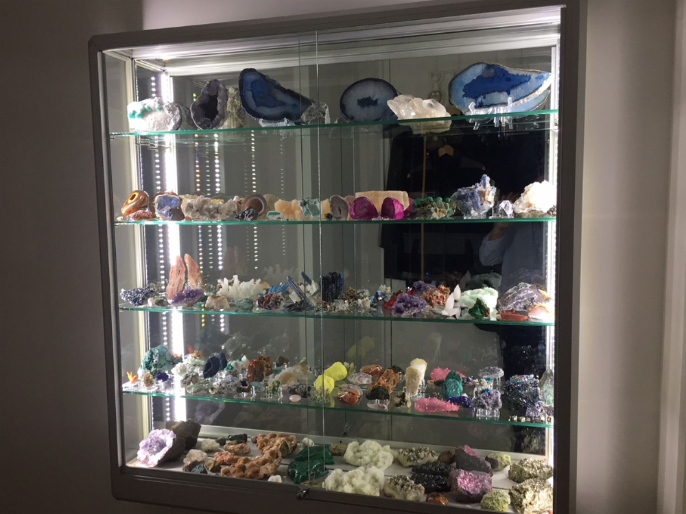 Discover how a custom glass wall display cabinet from Showfront can transform your collection into a standout display while keeping it safe.