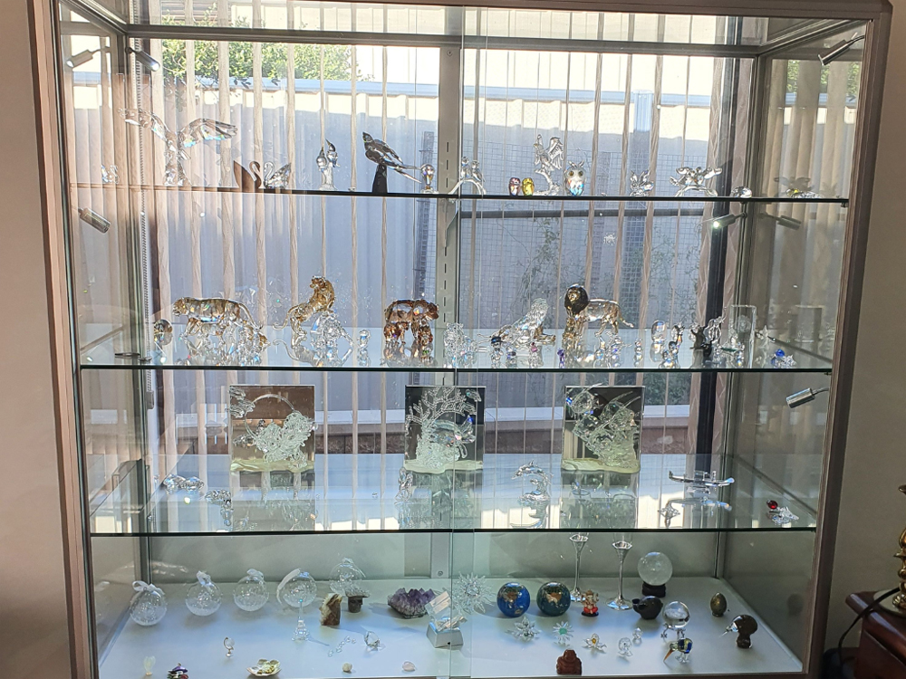 Discover how Showfront’s modern display cabinets can transform your collection into an organised, stylish showcase while keeping your treasures safe and secure.