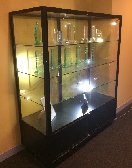Collectors Display Cabinets by Showfront