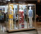 Pacific Werribee Store Mannequin Display Cabinets by Showfront
