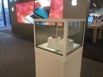 Apple Pedestal Display Case 2