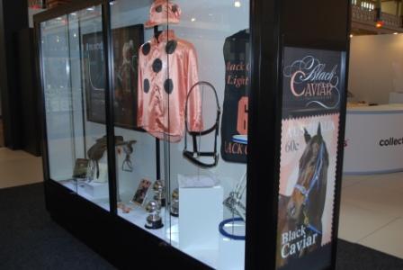Black Caviar Display Cabinet by Showfront