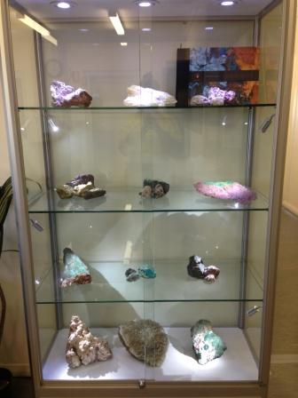 Display Cabinet with Light - Showfront's award-winning TSF 1000