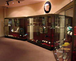 Museum Display Cabinets by Showfront - SCG
