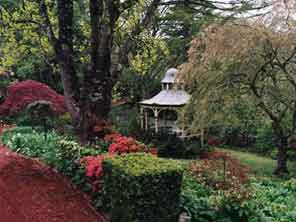 Forest Glade Gardens at The Stokes Museum