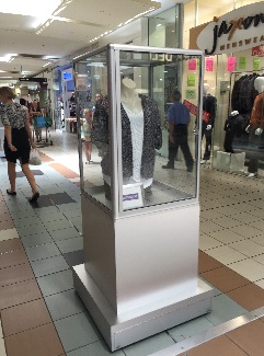 Brandon Park SC Mannequin Pedestal Display Cabinet by Showfront 