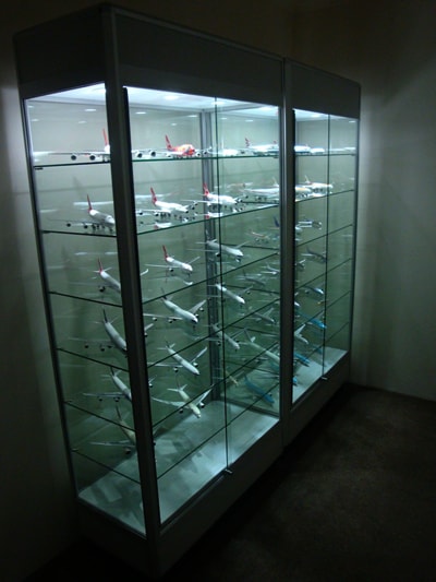 Collection Display Cabinet Wall