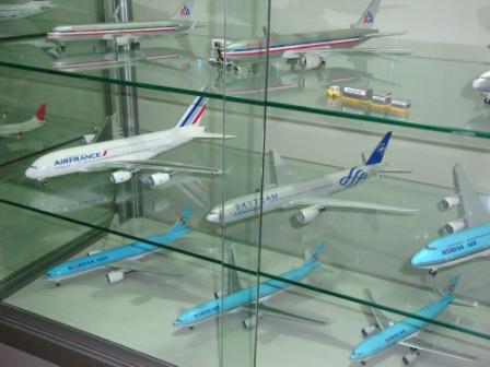 Model Airplane Display Case