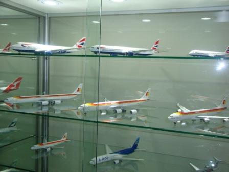 Model Display Case