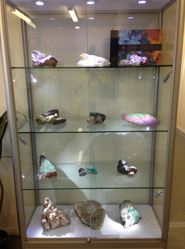 Upright rock & mineral display case by Showfront