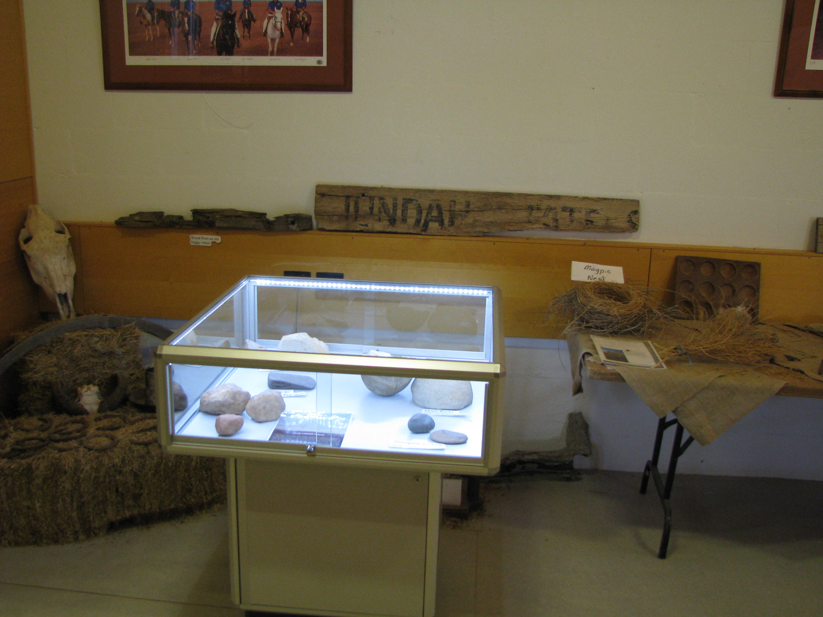 A Mushroom Display Case with aboriginal artefacts