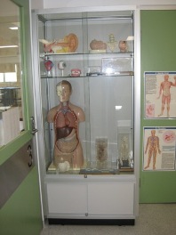 Laboratory Cabinets