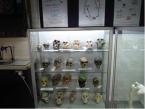 School Display Cabinet with skulls by Showfront at St Columbas