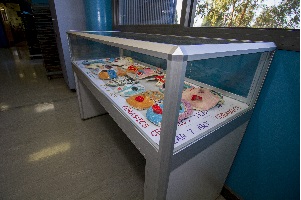 Loyola College Display Cabinet by Showfront 1
