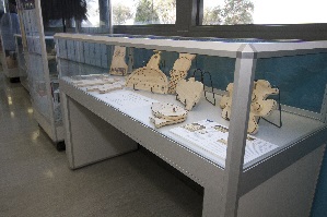 Loyola College Display Cabinet by Showfront 2