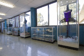 Loyola College Display Cabinets by Showfront